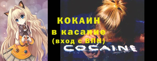 дмт Заводоуковск