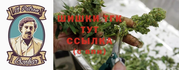дмт Заводоуковск