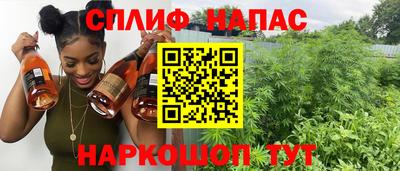 шишки Долгопрудный