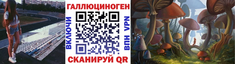кракен как войти как найти закладки Новомосковск Псилоцибиновые грибы MAGIC MUSHROOMS