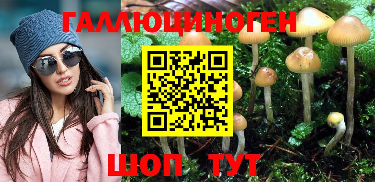 Псилоцибиновые грибы Cubensis  Псилоцибиновые грибы MAGIC MUSHROOMS  Вход с VPN  Новомосковск 